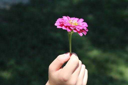 Exploring the Parts of a Flower: A Science Project for Kids